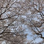 IMG_0897_R